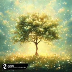 国产AV污黄网站
